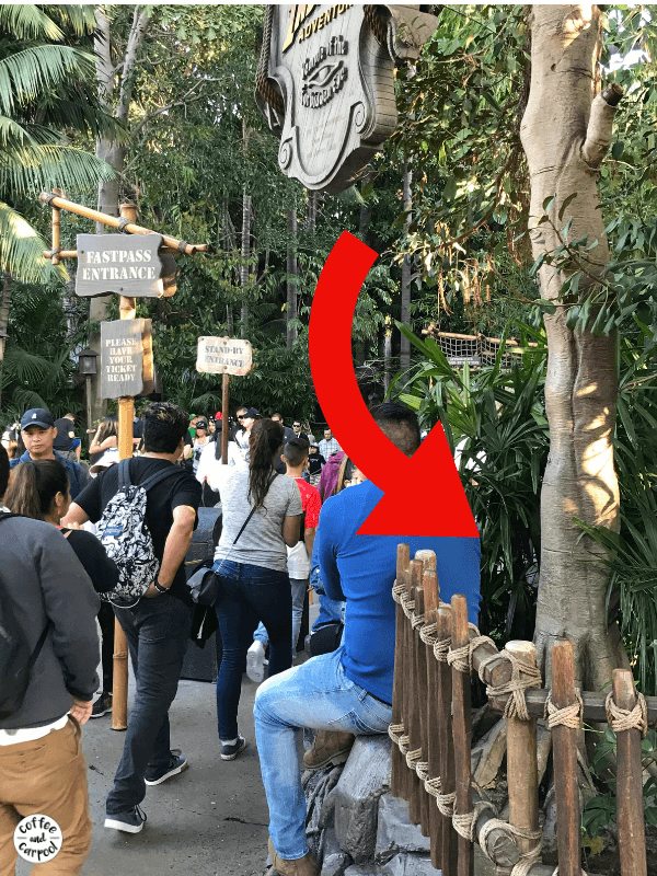 It’s in the tree at the entrance to Indiana Jones.