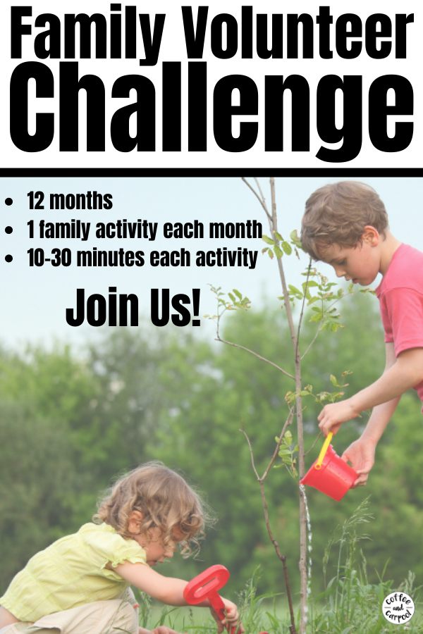 Join our 2020 Family Volunteer Challenge as each month we teach our kids the art and the heart of giving back, donating, volunteering, and community service. It doesn't matter what you call your donations or your volunteering. It's teaching them to give to others because kindness matters. These are 12 kindness activities for kids #kindnessmatters #volunteer #communityservice #giveback #donating #kidvolunteer #tikkunolam #tzedakah #