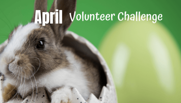 This April Volunteer Challenge focuses on giving kids a way to help animals in shelters by making simple blankets to comfort shelter dogs and cats. #shelteranimals #helpanimalshelters #volunteer #doglovers #petadoption
