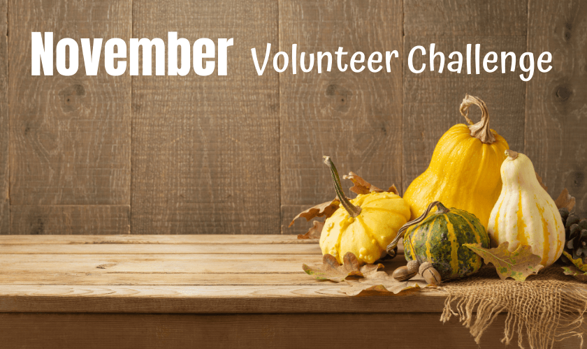 Spread kindness as a family through this Family Volunteer Challenge for November by gathering items for "blessing bags" to donate them to people who need them. 