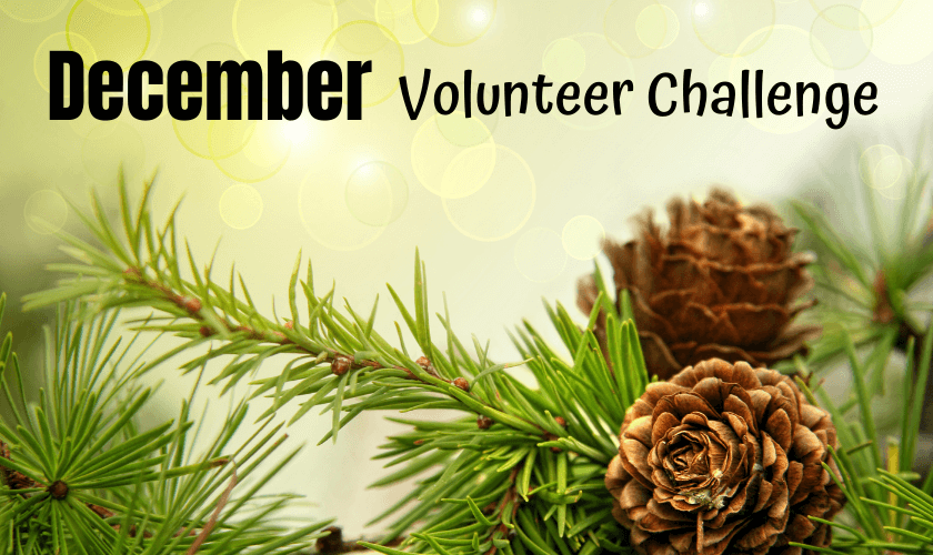 This December volunteer activity will help your kids focus on giving this winter holiday season rather than getting. It's the perfect December family volunteer activity.