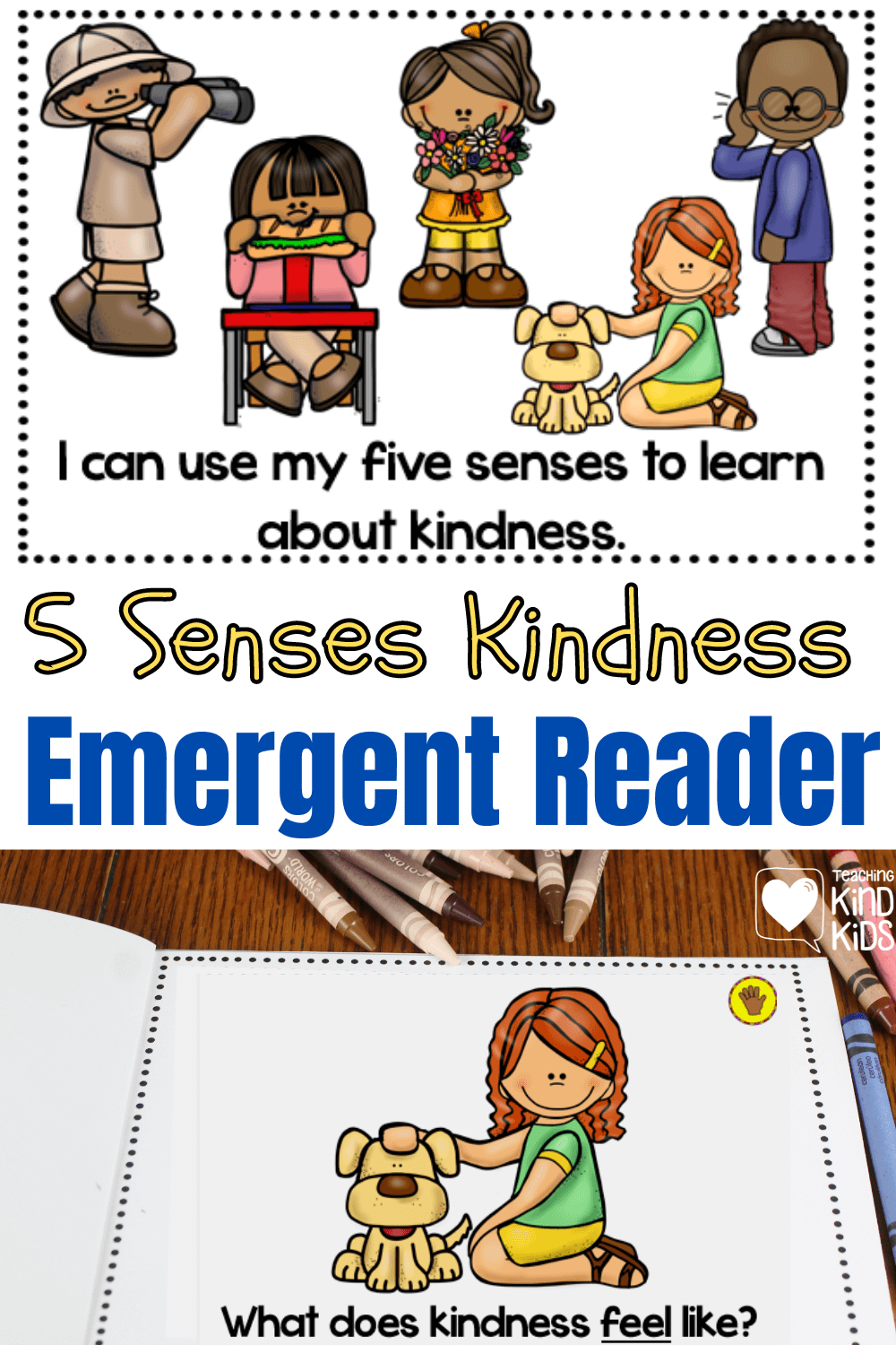 Five Senses Kindness